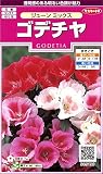 サカタのタネ 実咲花5190 ゴデチヤ ジューンミックス 00905190