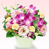 結婚記念日　花キューピット デンファレとトルコキキョウのアレンジメント