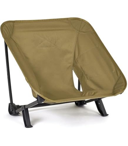 Amazon.co.jp: Helinox(ヘリノックス) タクティカルインクラインチェア