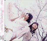 �t���C���O�`�F���[