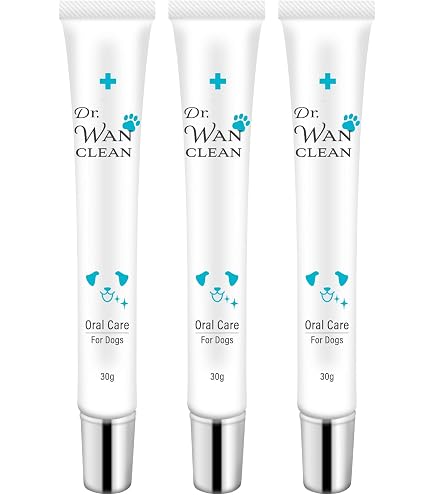 CLEAN WAN 15g3本セット 3個セット 】 クリーンワン CLEAN WAN 15g 約