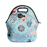 Ambielly はLYネオプレンランチバッグ/ランチボックス/特殊/ピクニックバッグに昼食を絶縁クーラートラベルオーガナイザーを来ることはありません (ランチパッケージ, A033)