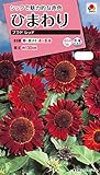 タキイ種苗 ひまわり プラドレッド