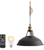 Amazon.co.jp : ZEKOO ペンダントライト 北欧 オシャレ LED レトロ