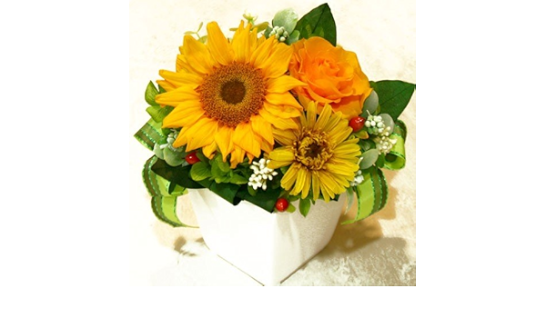 Amazon ひまわりとガーベラ プリザーブドフラワー プリザーブドフラワー オンライン通販