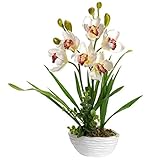 ブルーミング人工ホワイトOrchid Flower Arrangement withセラミックポット