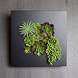 A plus floral art インテリア グリーン ボタニカル フレーム ルメン 黒 フェイクグリーン 多肉植物 観葉植物 造花 壁掛け ギフト