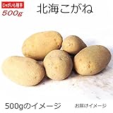じゃがいも 種芋 北海こがね 500g ジャガイモ
