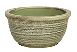 天目ひねり水鉢　13号　信楽焼　睡蓮鉢 めだか鉢 水鉢 陶器