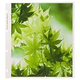 HAKUBA レポートアルバムDX用替台紙 4切 520194