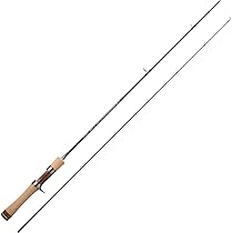 Amazon | 天龍(TENRYU) Rays(レイズ) ベイト RZ542B-L | 天龍(Tenryu