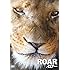 ROAR/ロアー(DVD)