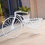 LRW ヨーロッパの自転車クリエイティブオーナメントアイアンフラワーリビングルームフロア葉緑素グリーンフラワーシェルフ