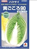 黄ごころ90 タキイ種苗の白菜種です