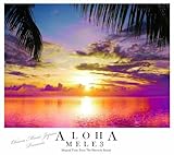 �A���n�E���� 3