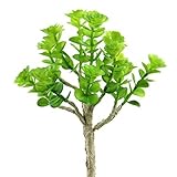 Shinoda Design Center 0031301187 Faux Succulent Stem 9.5 Green【クリスマス】【ツリー】 [並行輸入品]