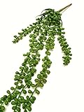 28 "人工多肉植物植物の文字列真珠ハンギングバスケットLover Tears ( 5ストランドfor 1 Piece ) 28 inch グリーン U&M2-809