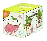 ペロポンパパ ネコ ワイルドストロベリー