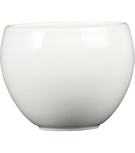 Amazon.co.jp: 極 VIVAHDE 山のうつわCUP ナチュラル yamamoring