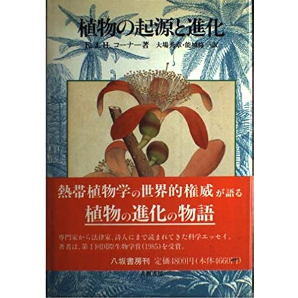 植物の進化形態学 (Natural History) | 加藤 雅啓 |本 | 通販 | Amazon