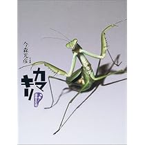 513ruMR4-PL._AC_UL210_SR210,