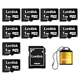 Lerdisk 工場卸売マイクロ SD カード 1GB 10 枚パック マイクロ SD アダプター付き 製造 (1GBX10)