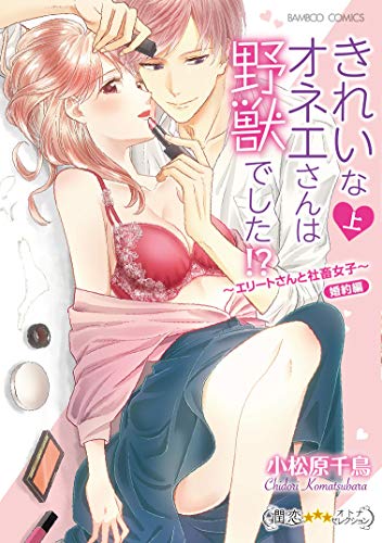 きれいなオネエさんは