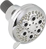 Peerless 76551 Water-Saving Five Spray Massage Shower Head, Chrome [並行輸入品]