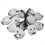HiCollie LED 頭蓋骨ヘッド ハロウィン 2.7m プラグタイプ/バッテリ駆動式 バッテリなし 省エネ スカルライト 電池式 LEDライト イルミネーション カラー ハロウィンランタン クリ