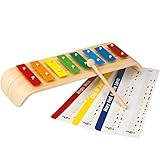 PLANTOYS 6416 メロディーシロフォン