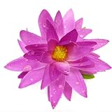 MANJA 造花 蓮の花 ロータス IMF-0039-PU (パープル)