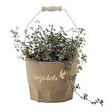 Paseo Cup Compote JJ-06BR