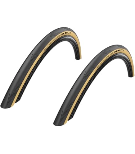 Amazon | Fizik(フィジーク) ARGO TEMPO R5 S-Alloyレール