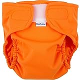 Gerber All-in-One Reusable Diaper with Insert Starter Set, Orange, Large by Gerber [並行輸入品]