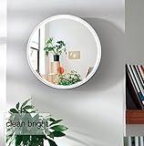 LED壁ミラー、Nanami Vanity Lighted Mirror For寝室with 2減光モードbyタッチセンサー 16.7inch FBA-JZ-01-BS