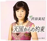 �V������̖�