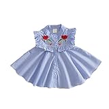 夏ベイビー服 女の子ワンピース Pojour 1-6歳キッズ用かわいい刺繍スカート 子供ギフト 綿 通気 ブルー(100cm)