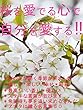 桜を愛でる心で自分を愛する