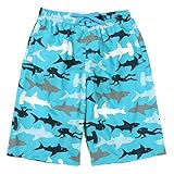 キッズ・ジュニア水着 男の子用サーフパンツ sw1856 160cm ブルー