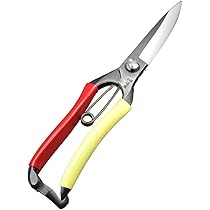 513zKEBDgGL._AC_UL210_SR210,