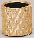 エイネウェレ コラムL ゴールド