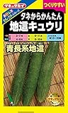 タキイ種苗 おいしさセレクト タネからかんたん地這キュウリ 青長系地這