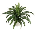 24" Potted Artificial Green Boston Fern in a Decorative Cream Pot