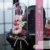 プリザーブドフラワー　お手入れ不要　仏花 紫苑～しおん～ Mサイズ お供え花　仏壇花　法事　お彼岸　お盆　弔事　ガラスドーム入り　送料無料