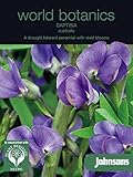 WB 英国ジョンソンズシード Johnsons Seeds world botanics collection Baptisia australis バプティシア・オーストラリス