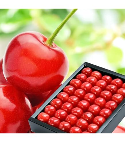 Amazon.co.jp: 北のデリシャス 山形県産 さくらんぼ 紅秀峰 500g (特秀