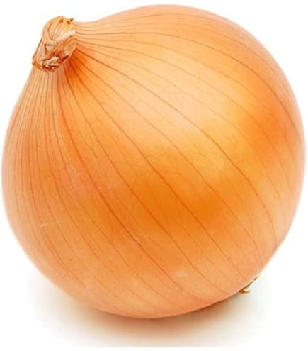 Amazon.co.jp: 玉ねぎ抜き苗 品種：OP黄(中生) 約50本(50本×1束)【品種