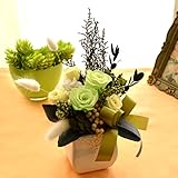 ほんのり香る100%プリザーブドアレンジ　[アロマピュア] (（母の日ギフト）ライムグリーンイエロー)