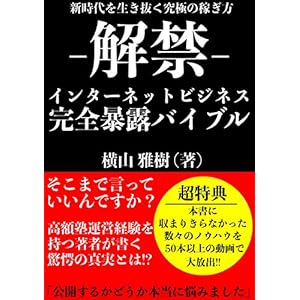 解禁 インターネットビジネス完全暴露バイブル 解禁 インターネットビジネス完全暴露バイブル