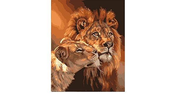 Amazon Hnzs 数字で描くライオンアニマル大人向け子供初心者diyデジタル油絵16 インチブラシとアクリル絵の具 フレームレス 絵具 通販